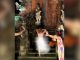 The girl reached the Hindu temple naked and started doing dirty acts, then the limit was reached... see photos