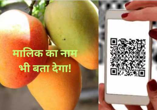 Amazing done! It will be known from the QR code- Which garden is the mango from.. Which species is it?
