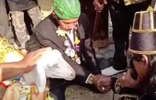 Middle aged man married goat, you will be surprised to know about this unique marriage