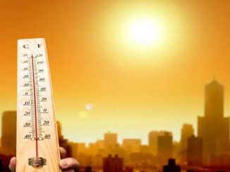 Heat wave will not stop in Haryana, from this day Nautpa's outbreak will be seen