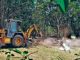 How many hectares of forest land in Uttarakhand are under illegal occupation, bulldozer action will be taken after the Forest Department report
