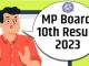MP Board 10th Result 2023: Madhya Pradesh Board 10th result released, Mridul Paul topper
