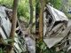 Big accident again in Himachal, Maruti car fell into ditch in Sangand, 4 including couple died