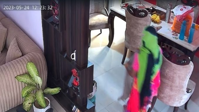 Mop mixed with urine mixed with water, maid's handiwork captured in CCTV, Video