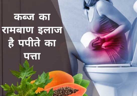 Papaya leaf can remove the problem of constipation as soon as possible, use it in this way