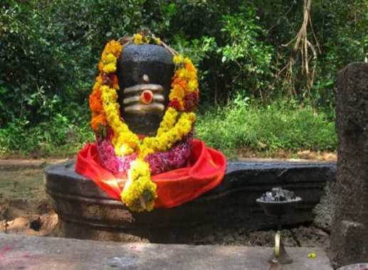 Offer this one thing on Shivling any day, money will be drawn like a magnet
