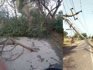 Heavy storm disrupts life in Haryana: Trees and electric poles broken