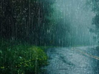 Heavy rain alert issued in Madhya Pradesh-Chhattisgarh, know the condition of your district