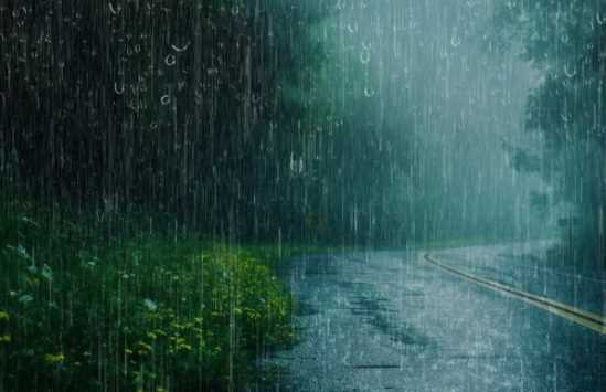 Heavy rain alert issued in Madhya Pradesh-Chhattisgarh, know the condition of your district