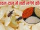 Insects get involved in rice and pulses, apply these 4 tricks while storing them, they will be used tension free for years