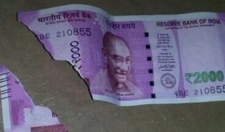 RBI Rules: You also have a torn note of 2000 rupees, so now you will get only this much money on exchange