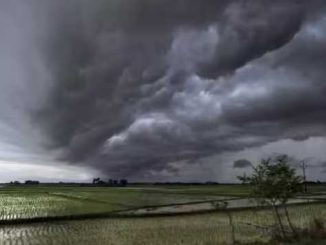Monsoon knocks in Madhya Pradesh, torrential rain expected for next 5 days; IMD alert