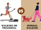 Normal Walking or Walking on Treadmill, Which is Better for Weight Loss? Know the answer from the expert