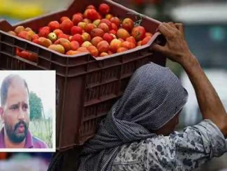 Tomato made Pune farmer a millionaire overnight, earned 2.8 crores in one stroke