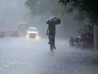 Alert of very heavy rain in these districts of Madhya Pradesh, Meteorological Department issued a warning