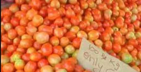 Tomato prices quadruple in a month: now supply from Himachal