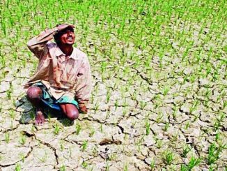 The sound of drought in Bihar increased the concern of the farmers, the situation worsened in these 9 districts.