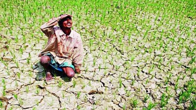 The sound of drought in Bihar increased the concern of the farmers, the situation worsened in these 9 districts.
