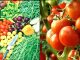Tomato sold costlier than petrol in Uttarakhand, see the rate list of vegetables