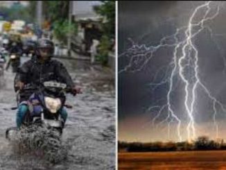 Monsoon activated again in Chhattisgarh, Meteorological Department's alert - today there will be lightning with heavy rain