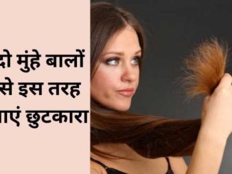 Bottle gourd will remove the problem of split ends in a week, just prepare hair mask like this