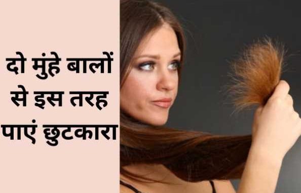 Bottle gourd will remove the problem of split ends in a week, just prepare hair mask like this