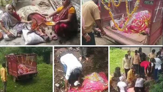 Everybody's darling Gauri passed away in Madhya Pradesh, given last farewell in a car decorated with flowers with music and music
