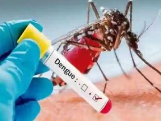Dengue spreading in Uttarakhand, more than 60 cases confirmed