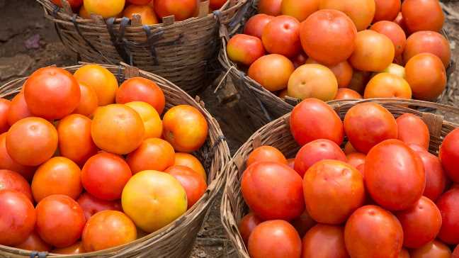 Tomato crying in Uttarakhand, price reaches Rs 250 per kg