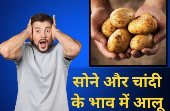 सोने और चांदी के भाव बिकता है ये आलू, साल में सिर्फ 10 दिन होती है बिक्री…