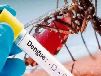 Dengue patients cross 1700 in Uttarakhand, condition of Haridwar and Dehradun is worst.