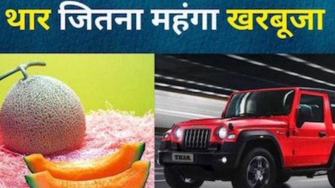 Oh my God...the world's most expensive melon, Mahindra Thar will be available for this much only.