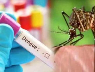 Challenges regarding dengue continue in Uttarakhand, total 1663 cases so far; More danger in Doon