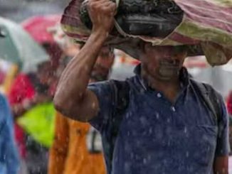 There is a possibility of heavy rain in 19 districts of Madhya Pradesh today, know the weather condition of your district.
