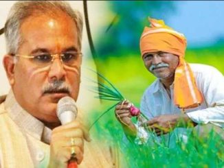 Chhattisgarh government's gift to farmers before elections; CM Baghel made this announcement