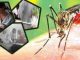 Politics heated up on dengue in Uttarakhand, Congress accused of juggling figures, what did BJP say?