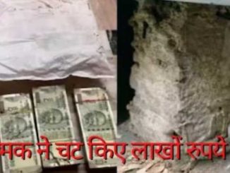 Money is not safe even in the bank! 18 lakhs were kept in the locker, termites ate them, the customer was shocked when he saw