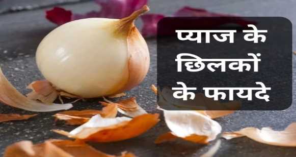 Do not throw onion peels in the garbage considering them useless, there will be benefits if you use them in this way.