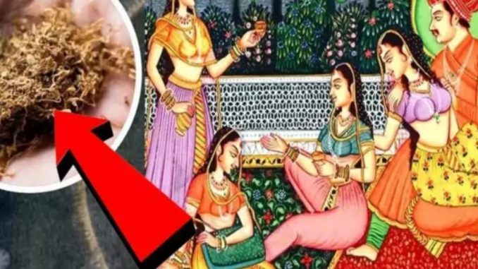 नाम सुनकर घिन आ जाएगी, इसे खाकर मर्दाना ताकत बढ़ाते थे मुगल….