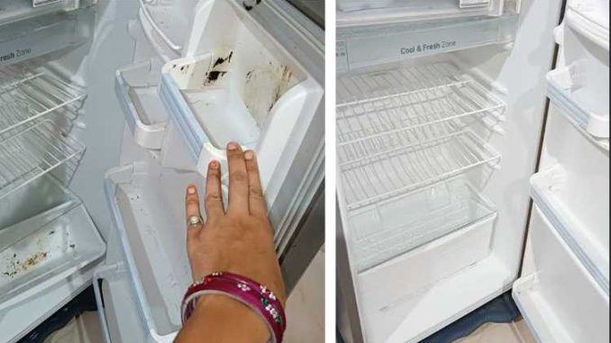 Your fridge will shine like mirror! Follow this trick to clean without effort