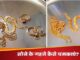 How to clean old gold jewelery on the occasion of Diwali? This way it will shine like new