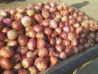 Black marketing of onion in Himachal, officials will inspect warehouses