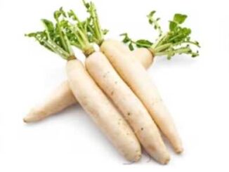 Radish Side Effects: Radish can become a disaster for these 5 people, do not consume it even by mistake