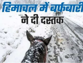 Himachal Weather Today: Himachal is shivering with cold...weather will change after three days, chances of rain - snowfall