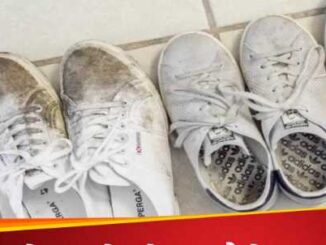 Follow these 5 easy tips to shine dirty white shoes, the shoes will become like new.