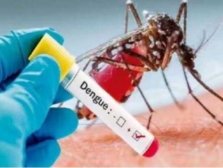 Deadly dengue in Bihar, 29 year old youth dies in Patna; Patients in the state cross 16 thousand