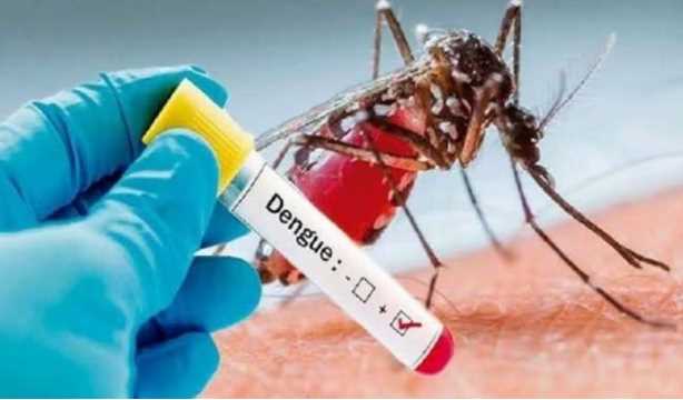 Deadly dengue in Bihar, 29 year old youth dies in Patna; Patients in the state cross 16 thousand