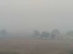 Haryana's AQI crosses 400 in seven cities due to poisonous air, recommendation to close schools