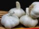 Product being grown from toilet water! Dragon's garlic is also 'danger'