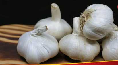 Product being grown from toilet water! Dragon's garlic is also 'danger'